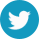Twitter Icon